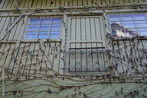 Facade of a wooden house with two windows and a door with metal railings. The railings are made of wrought iron. There are dry stems of creeping plants growing on the house  facade.