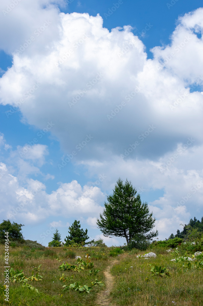 Obraz premium Sentier de randonnée sous les nuages