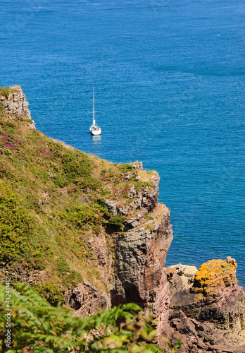 Beautiful view from Cap Frehel hills (covered with yellow gorse and violet heather flowers) on a bay with white sailboat. Brittany, France.