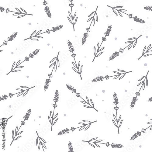Vector seamless pattern. Linear drawing in a minimalistic style. Hand-drawn sprigs of lavender and abstract dots. Print design for wrapping paper, textiles. Elegant floral background, medicinal plant.