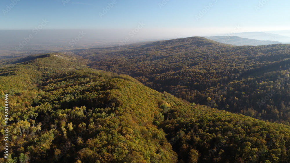 Aerial view of autumn in deciduous forest from hilly area