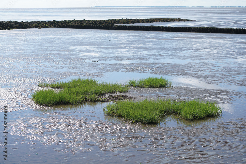 Weltnaturerbe Wattenmeer Grüne Oase im Watt Horizont Weltnaturerbe Wattenmeer Grüne Oase im Watt Horizont