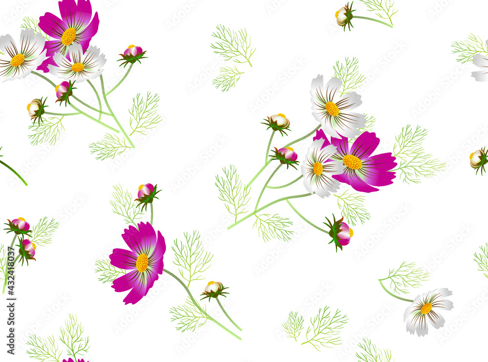 Delicate seamless pattern with bouquets of purple and white cosmea flowers on white background. Vector drawing for design of textile, fabrics, wallpaper, web sites and other. 