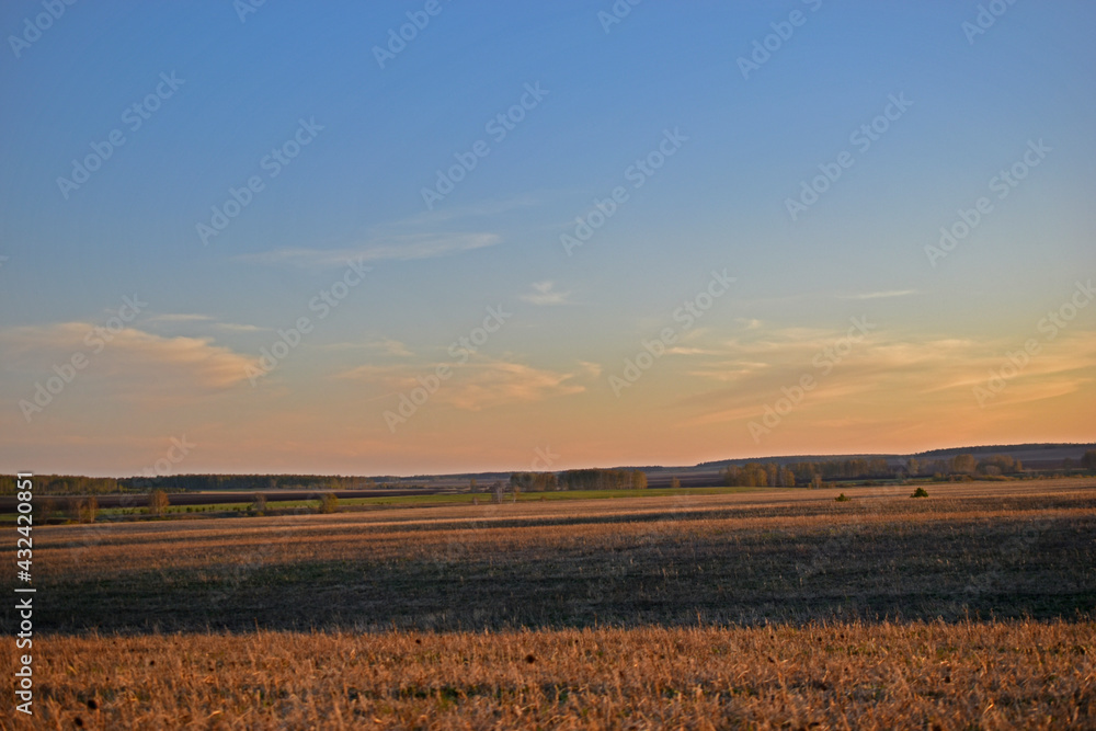 Evening beautiful landscape in the field in spring with sunset