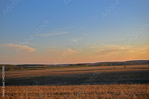 Evening beautiful landscape in the field in spring with sunset