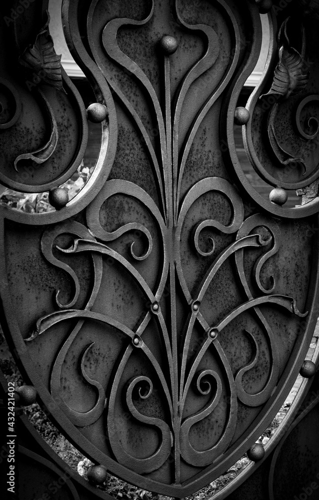 Modern decorative wrought iron doors of a private house, under the influence of nature