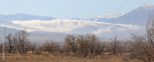 morning fog in the mountains