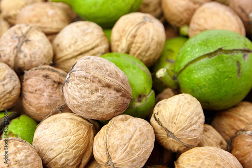 Walnut fruits closeup. Heap of walnuts in shell with green pericarp