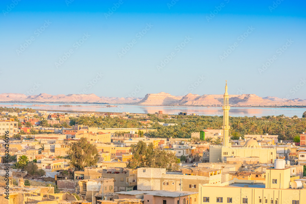view of the Siwa oasis