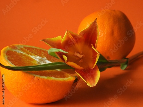 Orange orange