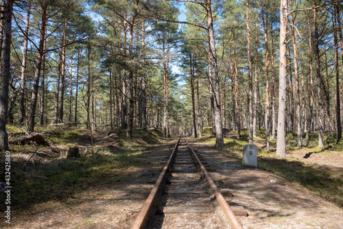 Railroad tracks in the coniferous forest. Hel, Pomeranian district, Poland. Selective focus. 