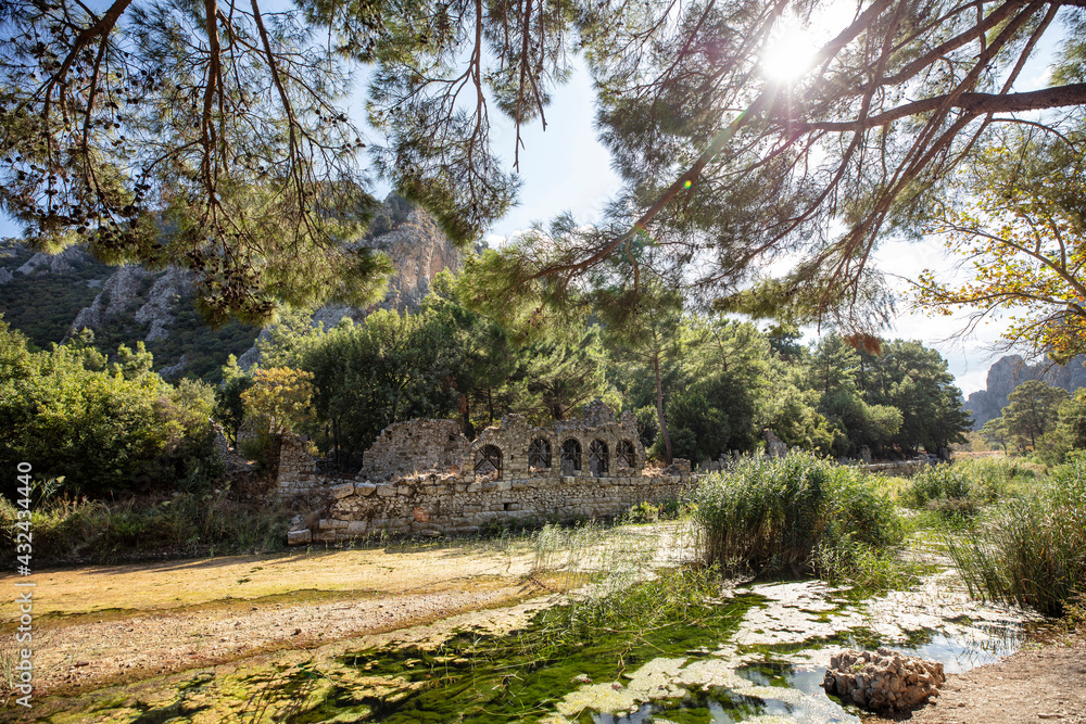 Ruins of Olympos (Olympus) Ancient Cİty. Cirali beach. Antalya, Turkey. Travel and tourism background.