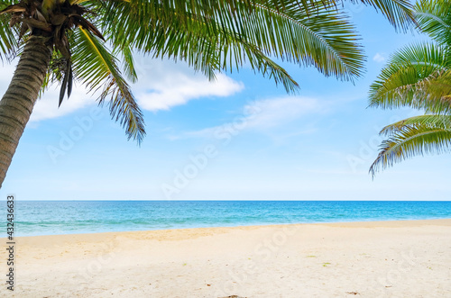 Summer background of Coconut Palm trees on white sandy beach Landscape nature view Romantic ocean bay with blue water and clear blue sky over sea at Phuket island Thailand