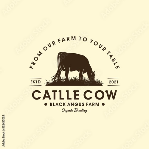 Retro Vintage Cattle Angus Livestock Beef Emblem Label logo design vector
