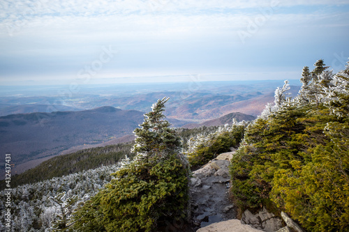Fresh snow on the Camel's Hump trail in Vermont