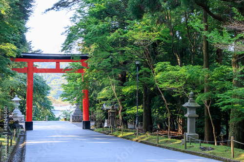霧島神宮　参道　鹿児島県霧島市　Kirishima Jingu Approach Kagoshima-ken Kirishima city