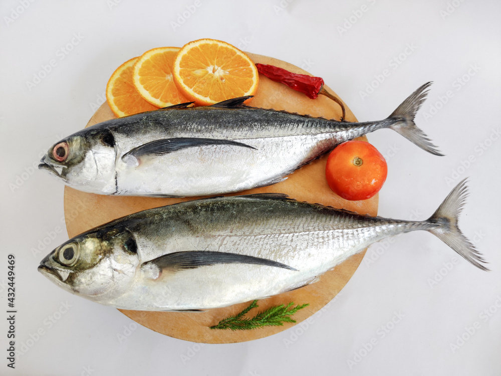Close up view of fresh Finletted Mackerel Fish or Torpedo Scad Fish decorated with herbs.White background,Selective focus. Close up view of fresh Finletted Mackerel Fish or Torpedo Scad Fish decorated with herbs.White background,Selective focus.