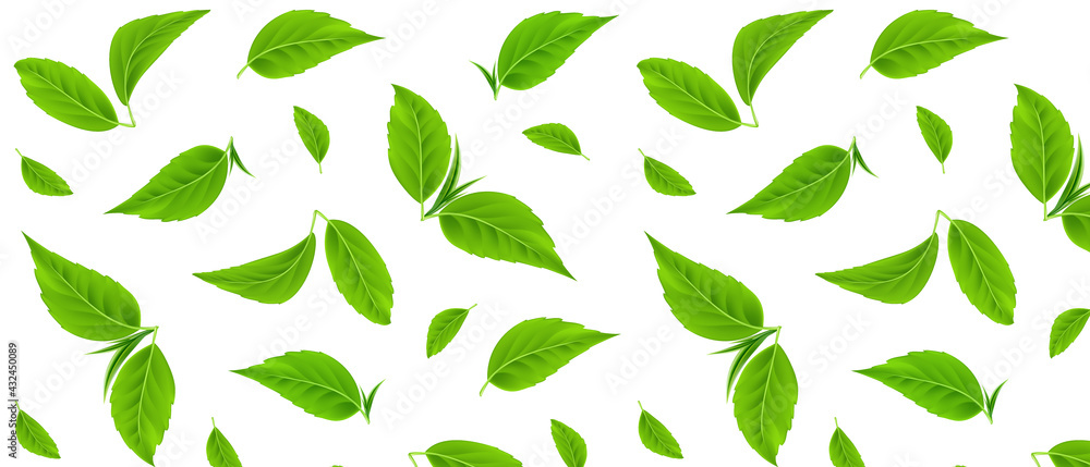 Green leaves vector seamless pattern. Realistic tea leaves. Trendy hand drawn textures. Summer tropical endless background. Modern design for paper, cover, fabric, packaging, interior decor. EPS10 Green leaves vector seamless pattern. Realistic tea leaves. Trendy hand drawn textures. Summer tropical endless background. Modern design for paper, cover, fabric, packaging, interior decor. EPS10