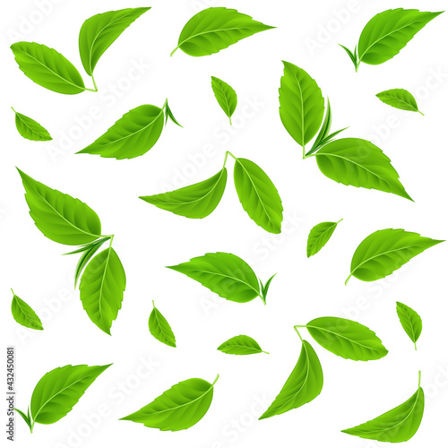 Green leaves vector seamless pattern. Realistic tea leaves. Trendy hand drawn textures. Summer tropical endless background. Modern design for paper  cover  fabric  packaging  interior decor. EPS10