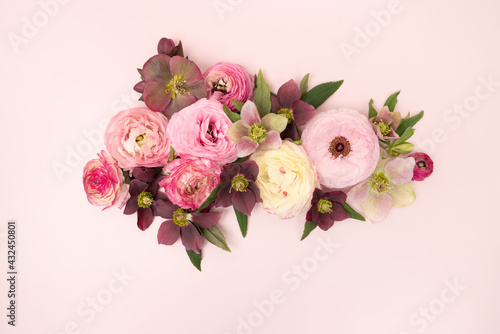 Fototapeta Naklejka Na Ścianę i Meble -  Beautiful fresh ranunculus floral flat lay on pink background