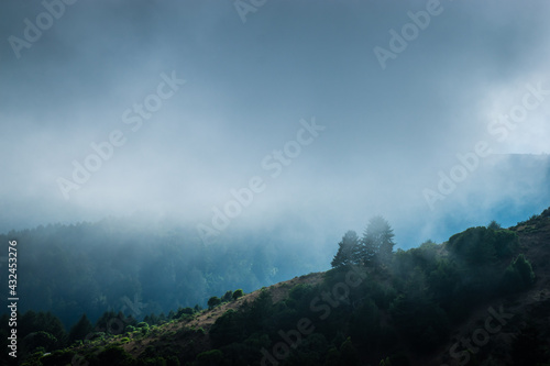 Mist over Point Reyes, Marin County, California © Mario Peixoto Photo