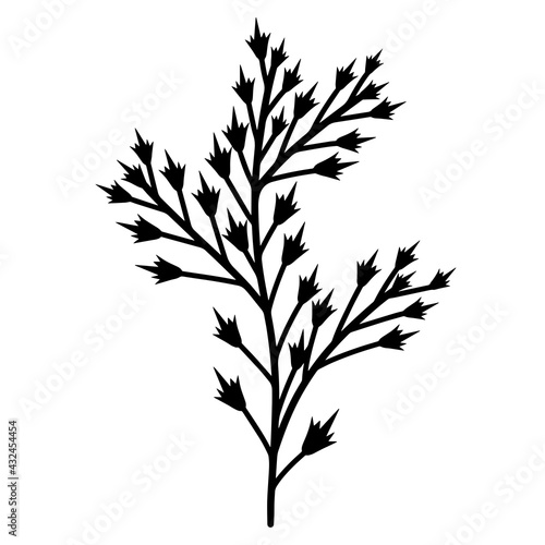 Vector illustration of a plant branch with thorns. Hand-drawn thin outline  black doodle. Botanical element  plant silhouette isolated on white background