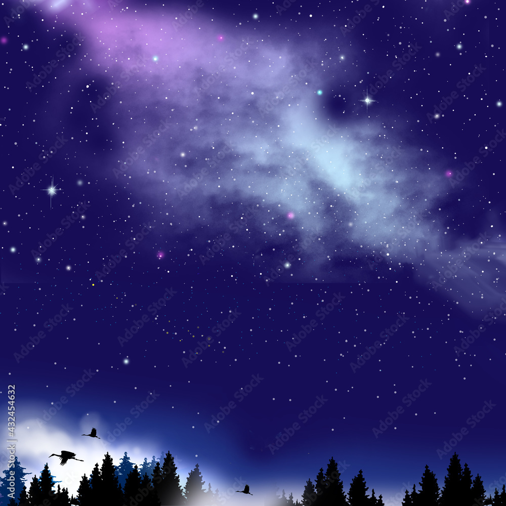 Fototapeta premium 星空が広がる夜の森