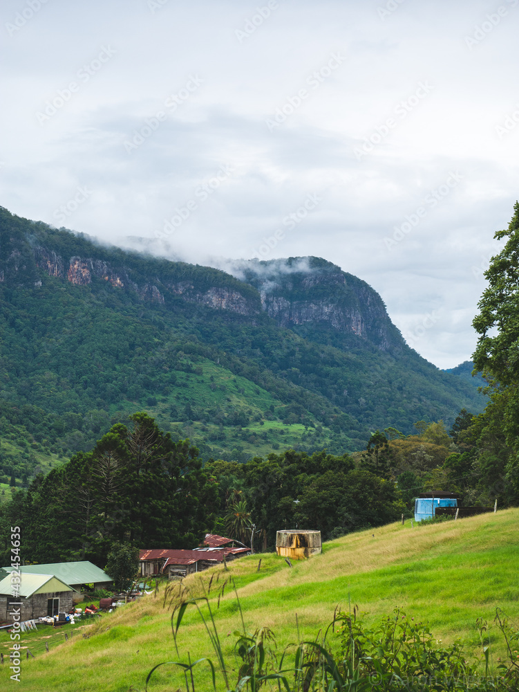 Fototapeta premium Subtropical escarpment 