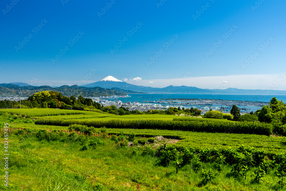 日本平から新緑のお茶畑/清水港越しの駿河湾と富士山