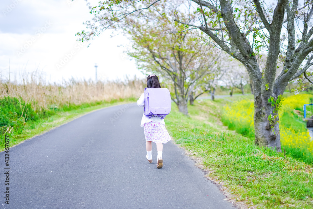 Fototapeta premium 小学校に登校する小さな女の子