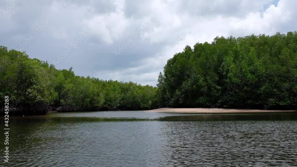 The mangrove forest and sea view from the boat The mangrove forest and sea view from the boat