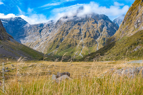 Fototapeta Naklejka Na Ścianę i Meble -  New Zealand summer landscape with mountain range Green Field and Blue Sky, South Island, New Zealand