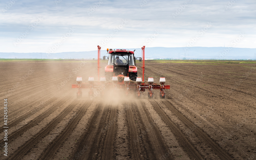 Fototapeta premium Farmer with tractor seeding crops at field