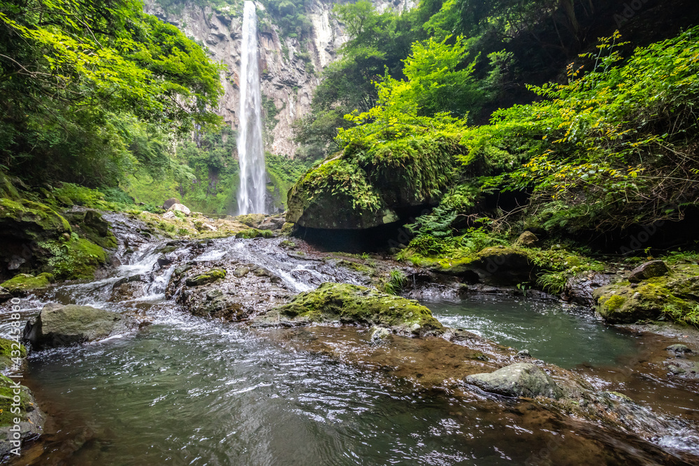 Fototapeta premium 東椎屋の滝 大分県宇佐市