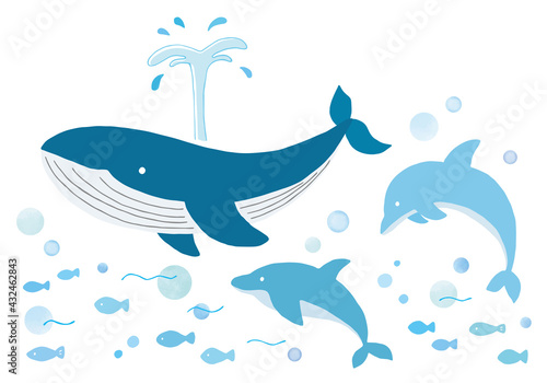 クジラとイルカの手描きイラストセット（カラー/輪郭線なし）