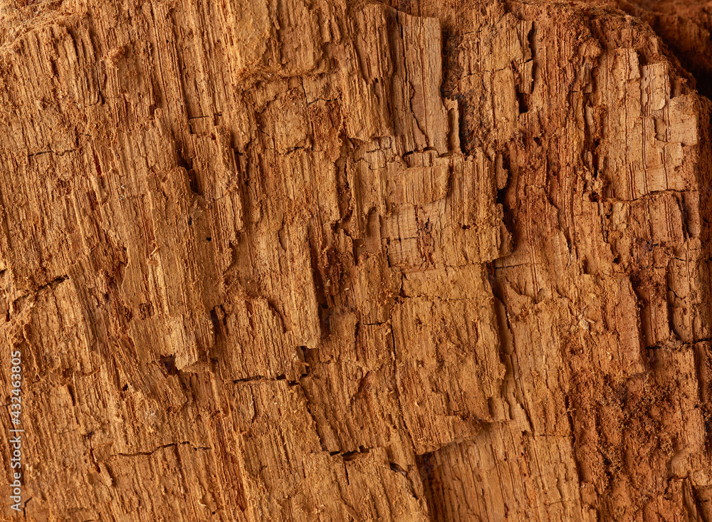 Fototapeta premium old wood background