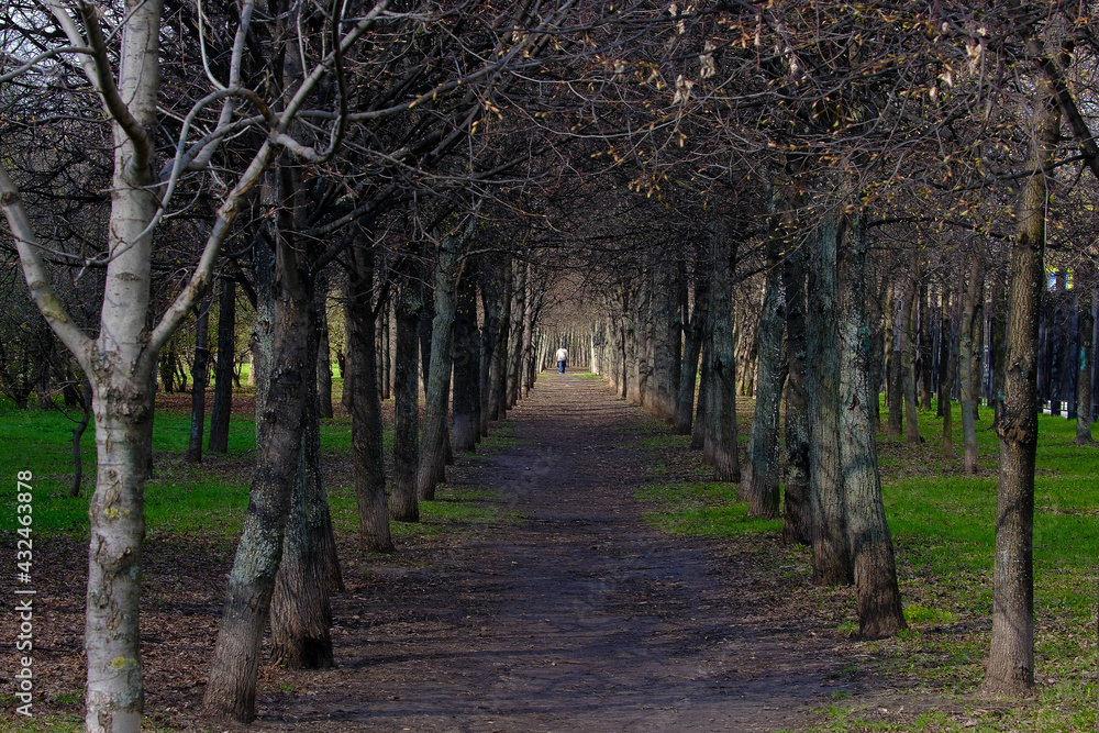 Park alley, rest in the park alleys. Park alley, rest in the park alleys.