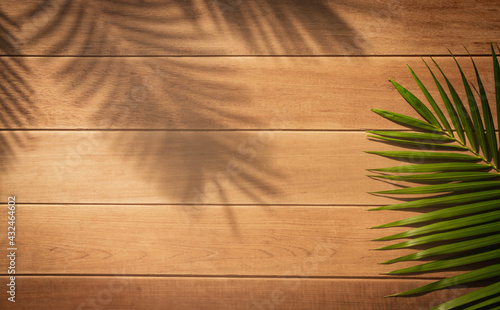 Tropical leaves is placed on a wooden with part of the leaf layout and copy space.