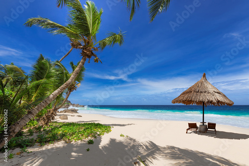 Fototapeta Naklejka Na Ścianę i Meble -  Sunny beach with coco palms, umbrella and beach sunbeds, tropical sea in Caribbean island. Fashion travel and tropical beach concept.