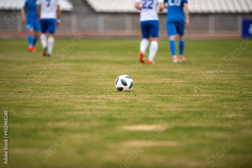 Soccer ball on the field © rafikovayana