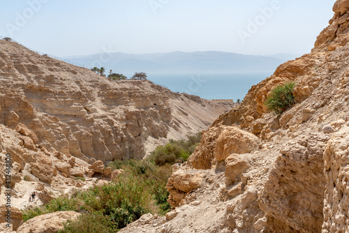 Beautiful scenic Ein Gedi National Park in southern Israel near the Dead Sea