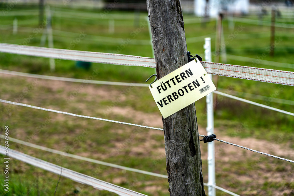 Fototapeta premium Füttern verboten an der Pferdekoppel