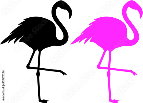 Vector illustration of the flamingo