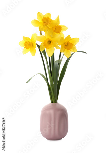 Wallpaper Mural Bouquet of beautiful yellow daffodils in vase isolated on white Torontodigital.ca