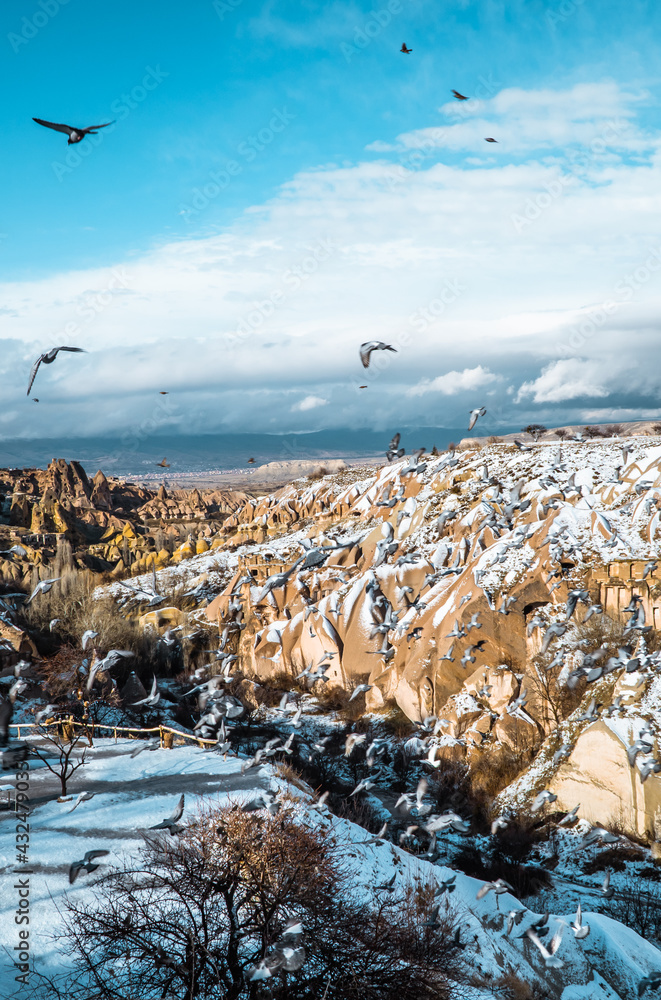 Vertical view of pigeons flying in the Pigeon Valley in Cappadocia, Turkey with typical fairy chimneys and pigeon houses