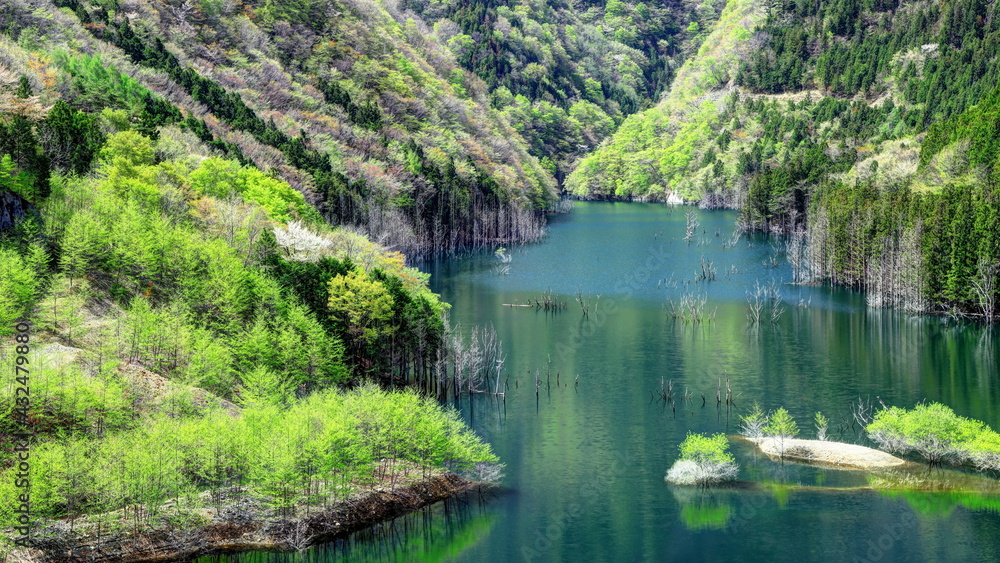 湯西川湖の新緑
