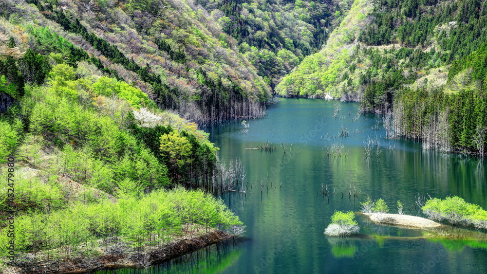 湯西川湖の新緑 湯西川湖の新緑