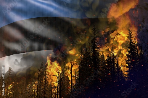 Forest fire fight concept  natural disaster - infernal fire in the woods on Estonia flag background - 3D illustration of nature