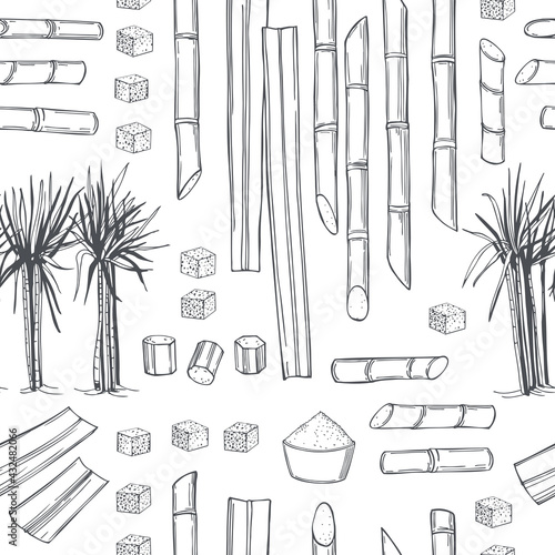 Sugarcane. Vector   pattern.