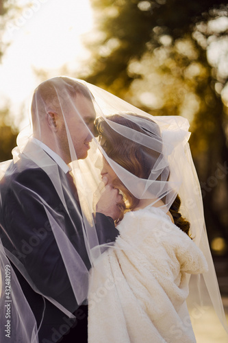 gentle and romantic bride and groom under the veil. 